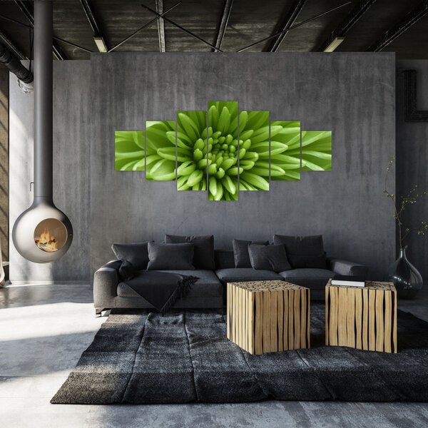 Obraz - Makro snímek rostliny (210x100 cm)