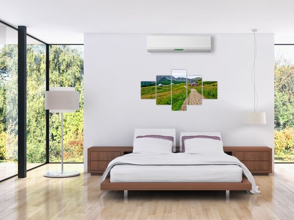 Obraz - Portrét leoparda (125x70 cm)