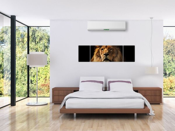 Obraz - Lev s bohatou hřívou (170x50 cm)