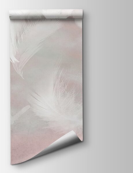 Fototapeta Bílá pírka na růžovém pozadí, Fototapety s pírky, Populární fototapety, u41755 - Tapeko.co.cz