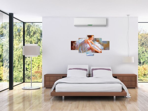 Obraz - Baletka (125x70 cm)