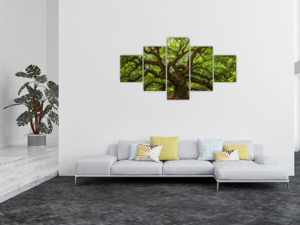 Obraz - Zelený strom (125x70 cm)