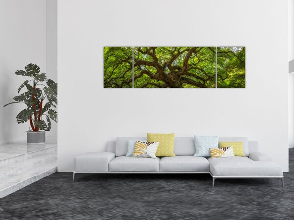 Obraz - Zelený strom (170x50 cm)
