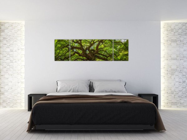 Obraz - Zelený strom (170x50 cm)