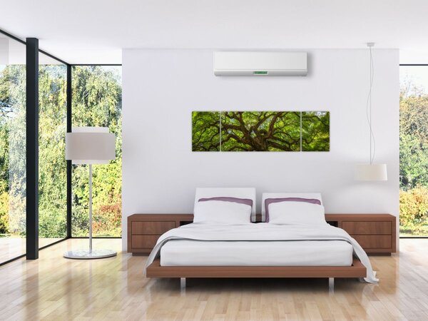 Obraz - Zelený strom (170x50 cm)