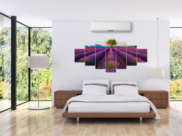 Obraz - Levandulové pole (210x100 cm)