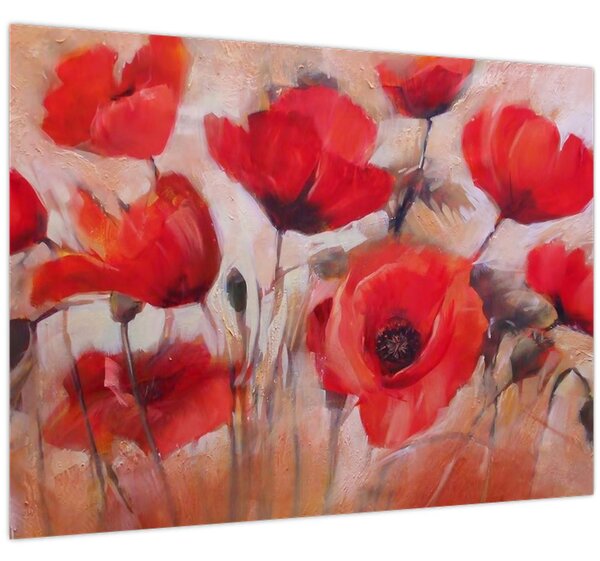 Obraz - Vlčí máky (70x50 cm)