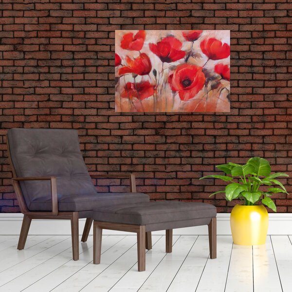 Obraz - Vlčí máky (70x50 cm)