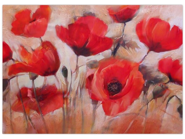 Obraz - Vlčí máky (70x50 cm)