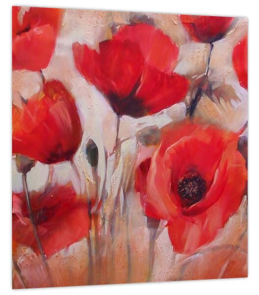 Obraz - Vlčí máky (30x30 cm)