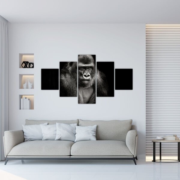 Obraz - Gorila (125x70 cm)