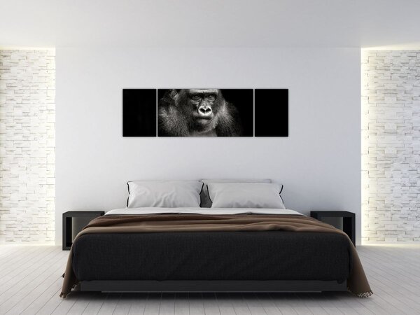 Obraz - Gorila (170x50 cm)