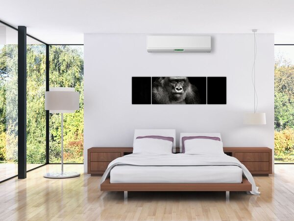 Obraz - Gorila (170x50 cm)