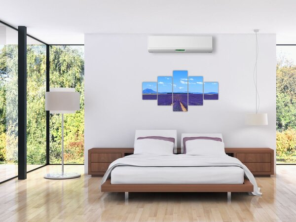 Obraz - Levandulové pole (125x70 cm)