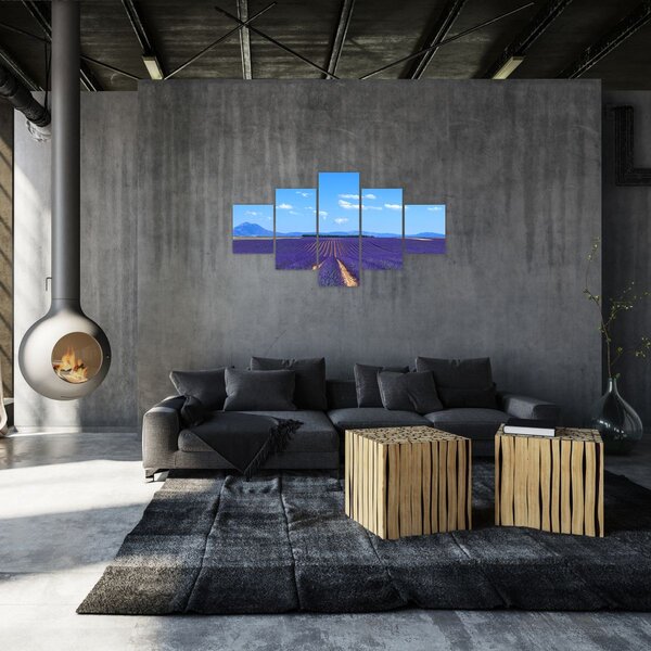 Obraz - Levandulové pole (125x70 cm)