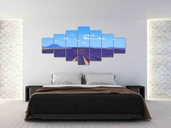 Obraz - Levandulové pole (210x100 cm)