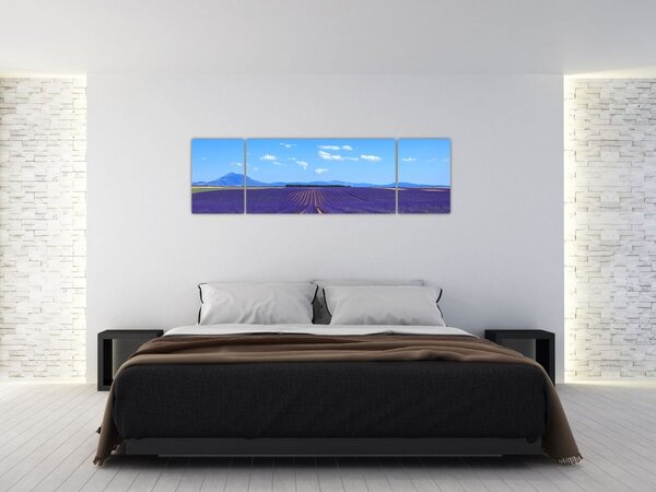 Obraz - Levandulové pole (170x50 cm)