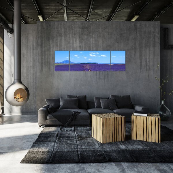 Obraz - Levandulové pole (170x50 cm)