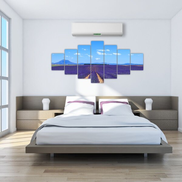 Obraz - Levandulové pole (210x100 cm)