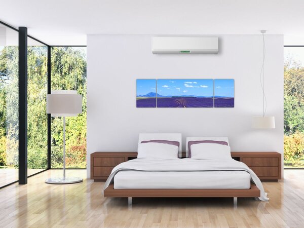 Obraz - Levandulové pole (170x50 cm)