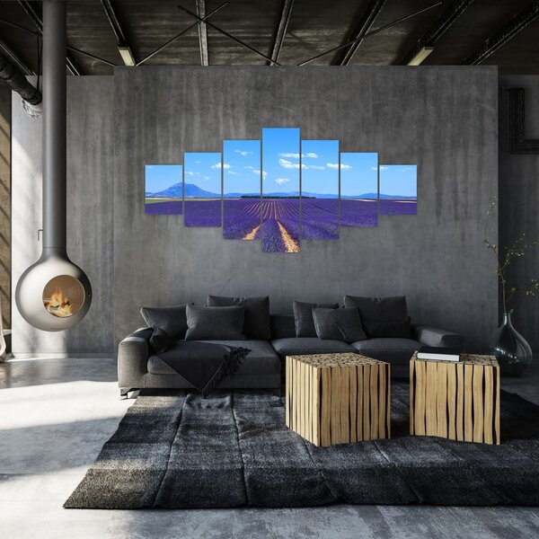 Obraz - Levandulové pole (210x100 cm)