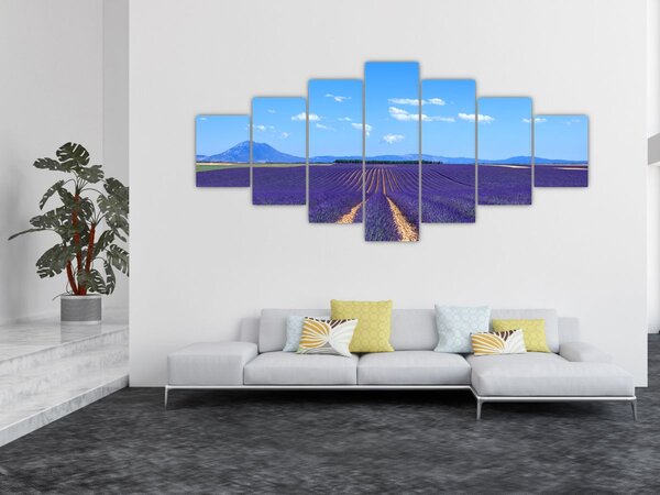Obraz - Levandulové pole (210x100 cm)