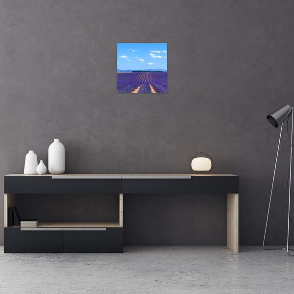 Obraz - Levandulové pole (30x30 cm)