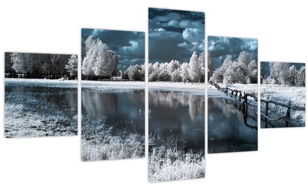 Obraz - Zamrzlá krajina (125x70 cm)