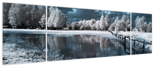 Obraz - Zamrzlá krajina (170x50 cm)