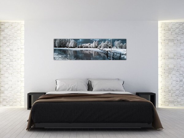 Obraz - Zamrzlá krajina (170x50 cm)
