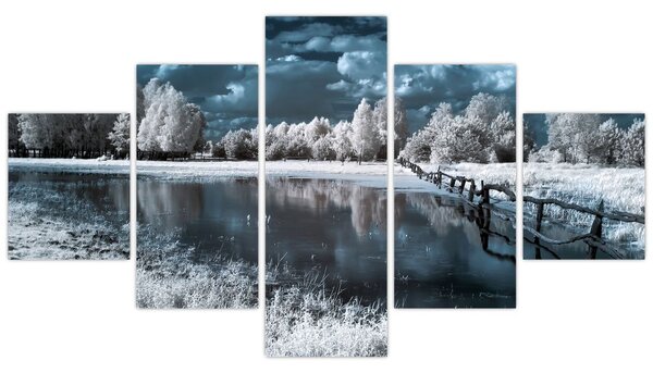 Obraz - Zamrzlá krajina (125x70 cm)