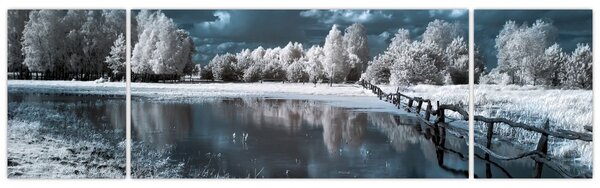 Obraz - Zamrzlá krajina (170x50 cm)