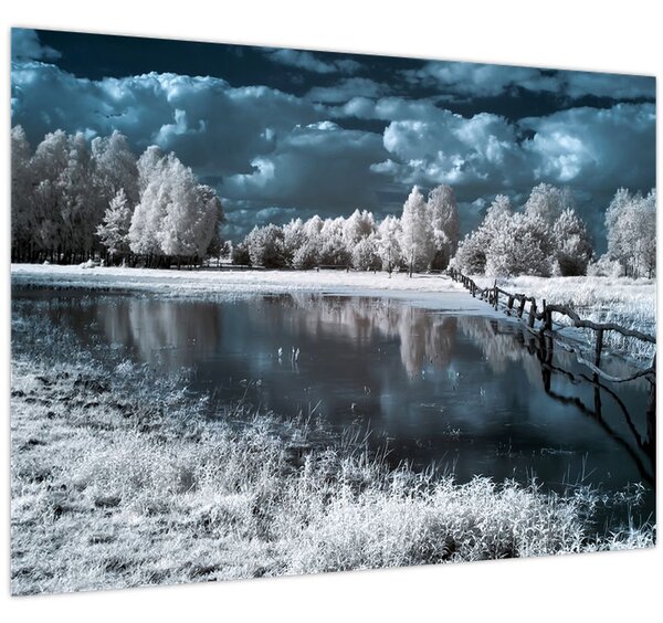 Obraz - Zamrzlá krajina (70x50 cm)
