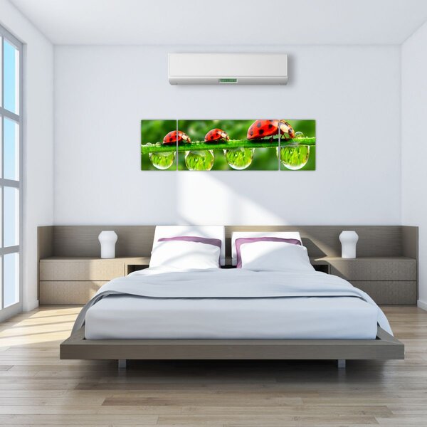 Obraz - Slunéčko sedmitečné (170x50 cm)