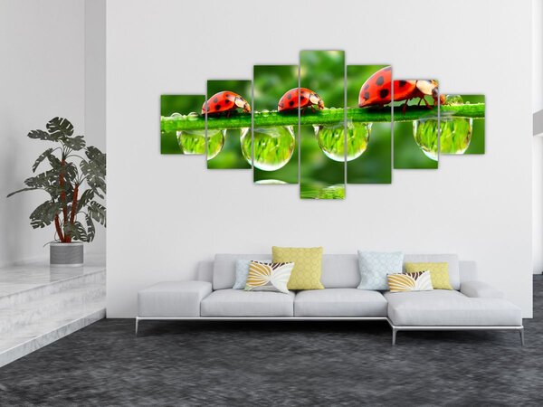 Obraz - Slunéčko sedmitečné (210x100 cm)