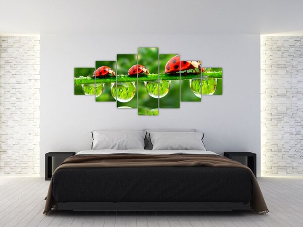 Obraz - Slunéčko sedmitečné (210x100 cm)