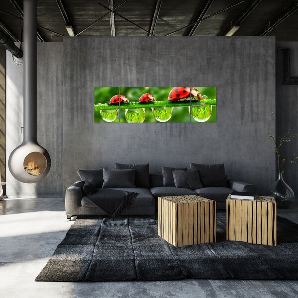 Obraz - Slunéčko sedmitečné (170x50 cm)