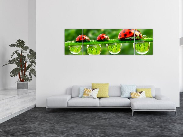 Obraz - Slunéčko sedmitečné (170x50 cm)