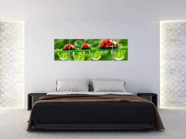 Obraz - Slunéčko sedmitečné (170x50 cm)