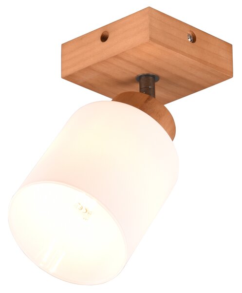 Bodové svítidlo ASSAM 1 bílá/dřevo