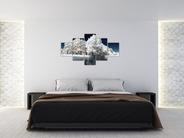 Obraz - Sněhobílé stromy (125x70 cm)