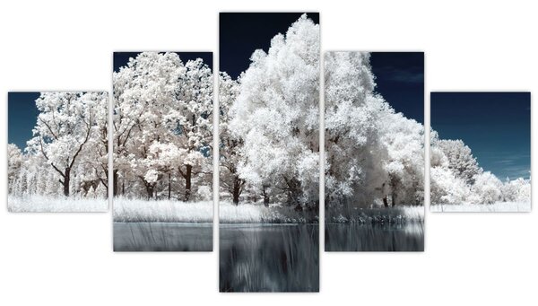Obraz - Sněhobílé stromy (125x70 cm)