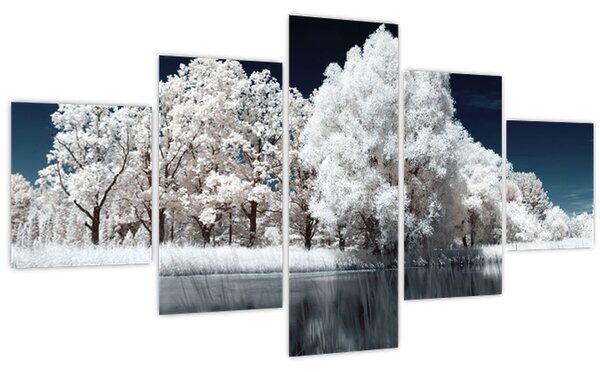 Obraz - Sněhobílé stromy (125x70 cm)