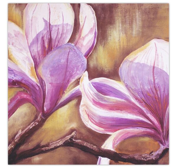 Obraz - Květy magnólie (30x30 cm)