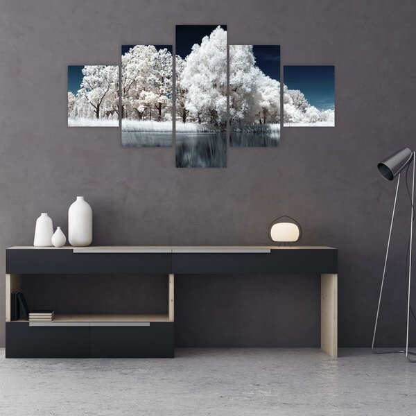 Obraz - Sněhobílé stromy (125x70 cm)