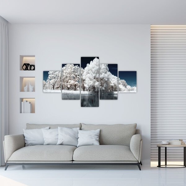 Obraz - Sněhobílé stromy (125x70 cm)
