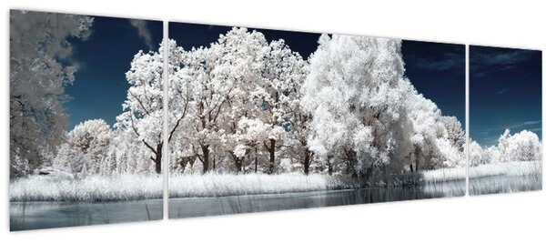 Obraz - Sněhobílé stromy (170x50 cm)