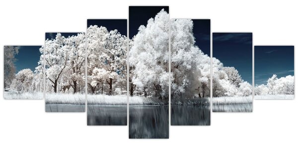 Obraz - Sněhobílé stromy (210x100 cm)