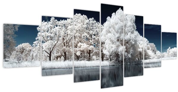 Obraz - Sněhobílé stromy (210x100 cm)