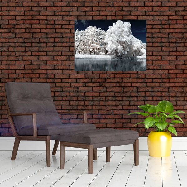 Obraz - Sněhobílé stromy (70x50 cm)